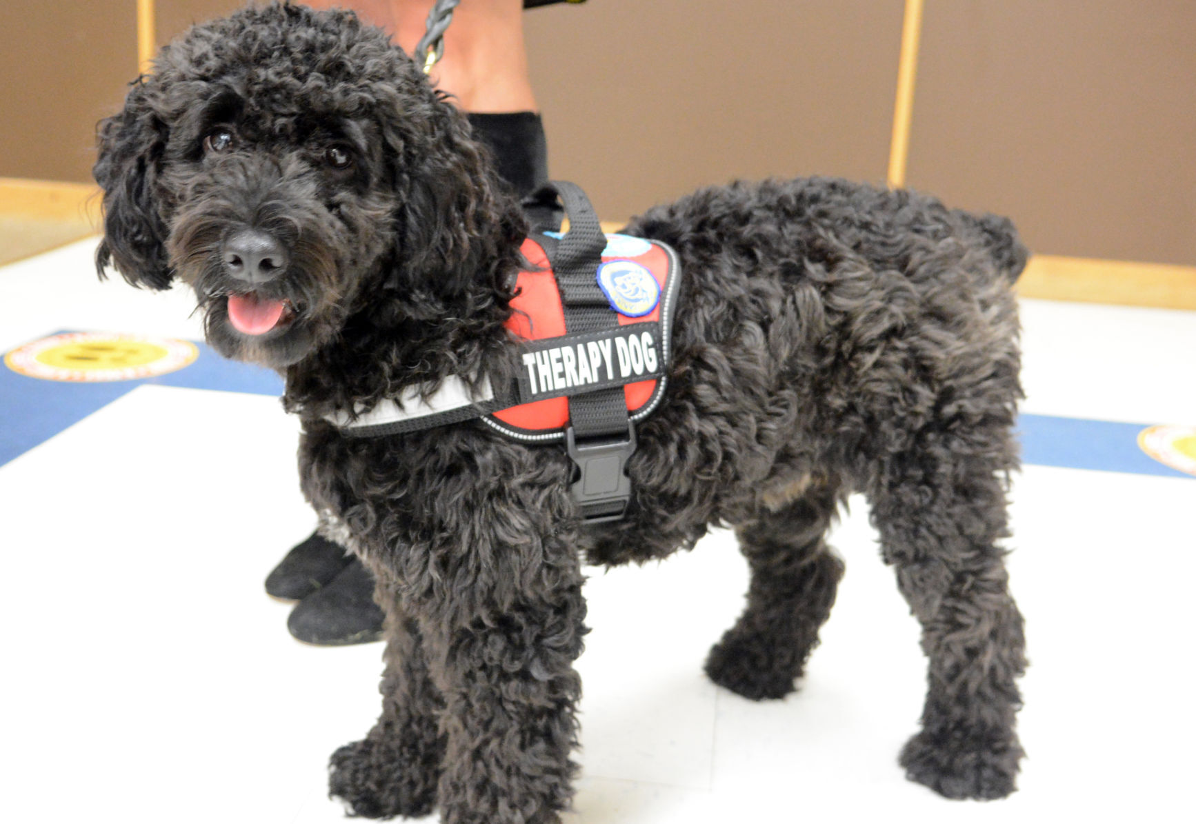 101921-port-news-therapy-dog-03